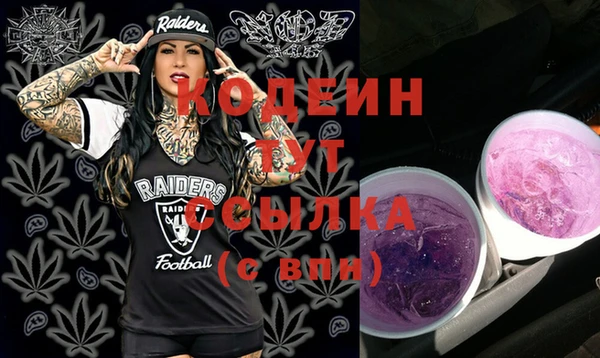 сатива Осташков