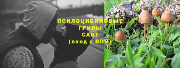 сатива Осташков